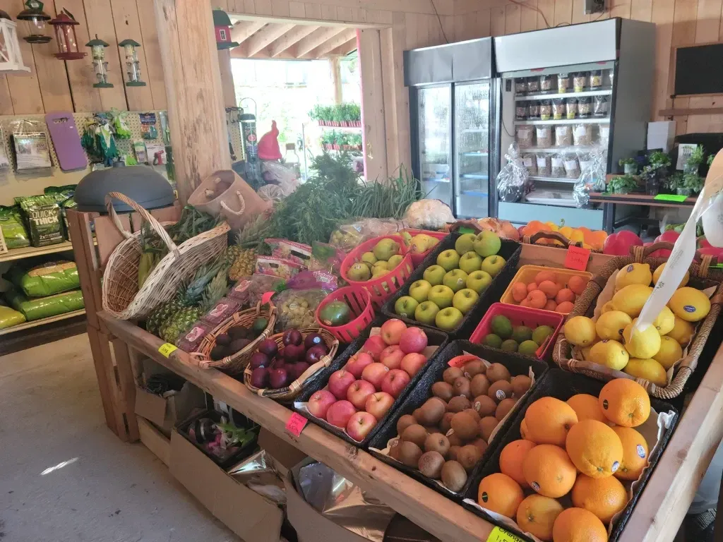 Produits de la pomme